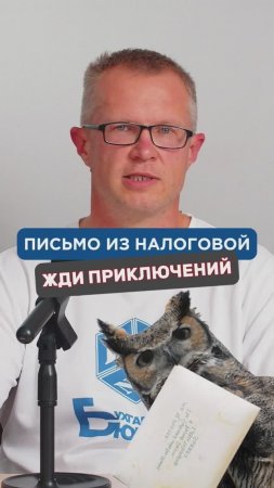 Письмо из налоговой. Что им надо?