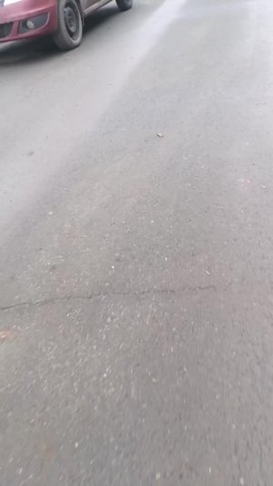 Иди в школу
