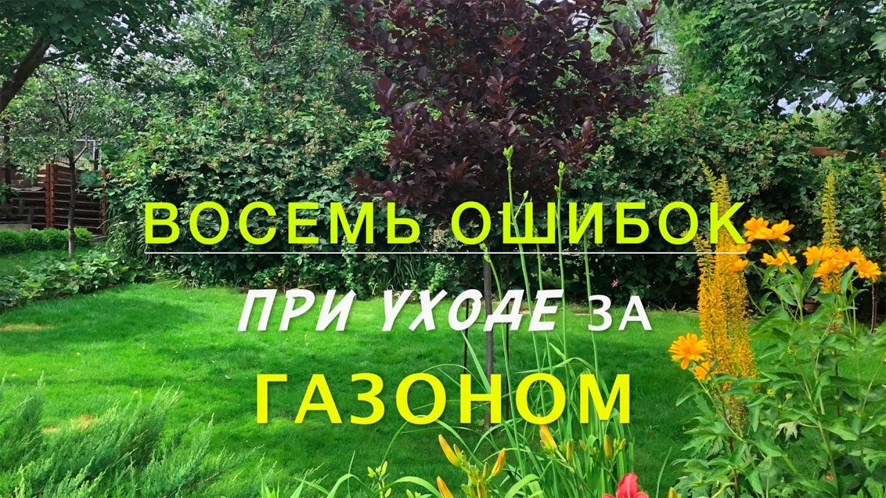 УХОД за ГАЗОНОМ / 8 ОШИБОК