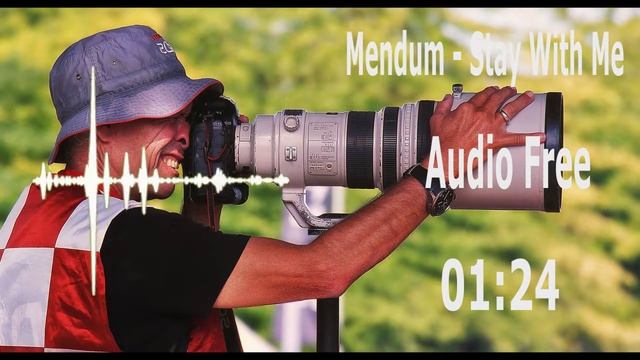 Mendum - Stay With Me ☑ Audio Free смотреть онлайн