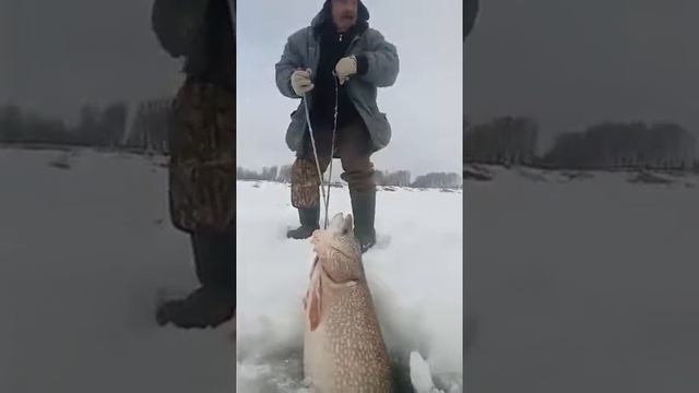 На рыбалке смотреть онлайн