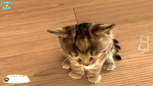 Little Kitten: My Favorite Cat - Funny Cute Cat Video - Best Apps For Kids