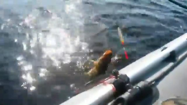 Щука рыба моей мечты. Рыбалка смотреть онлайн