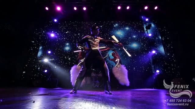 Заказать эффектное световое шоу на праздник, свадьбу и мероприятие в Москве - номер Световые птицы
