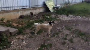 Самый Низки ВАЗ // БПАН