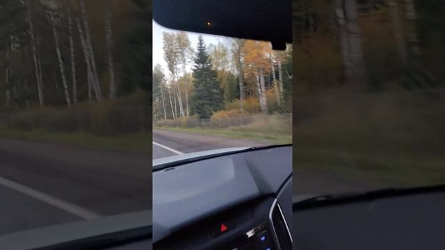 Выходные на даче 2022