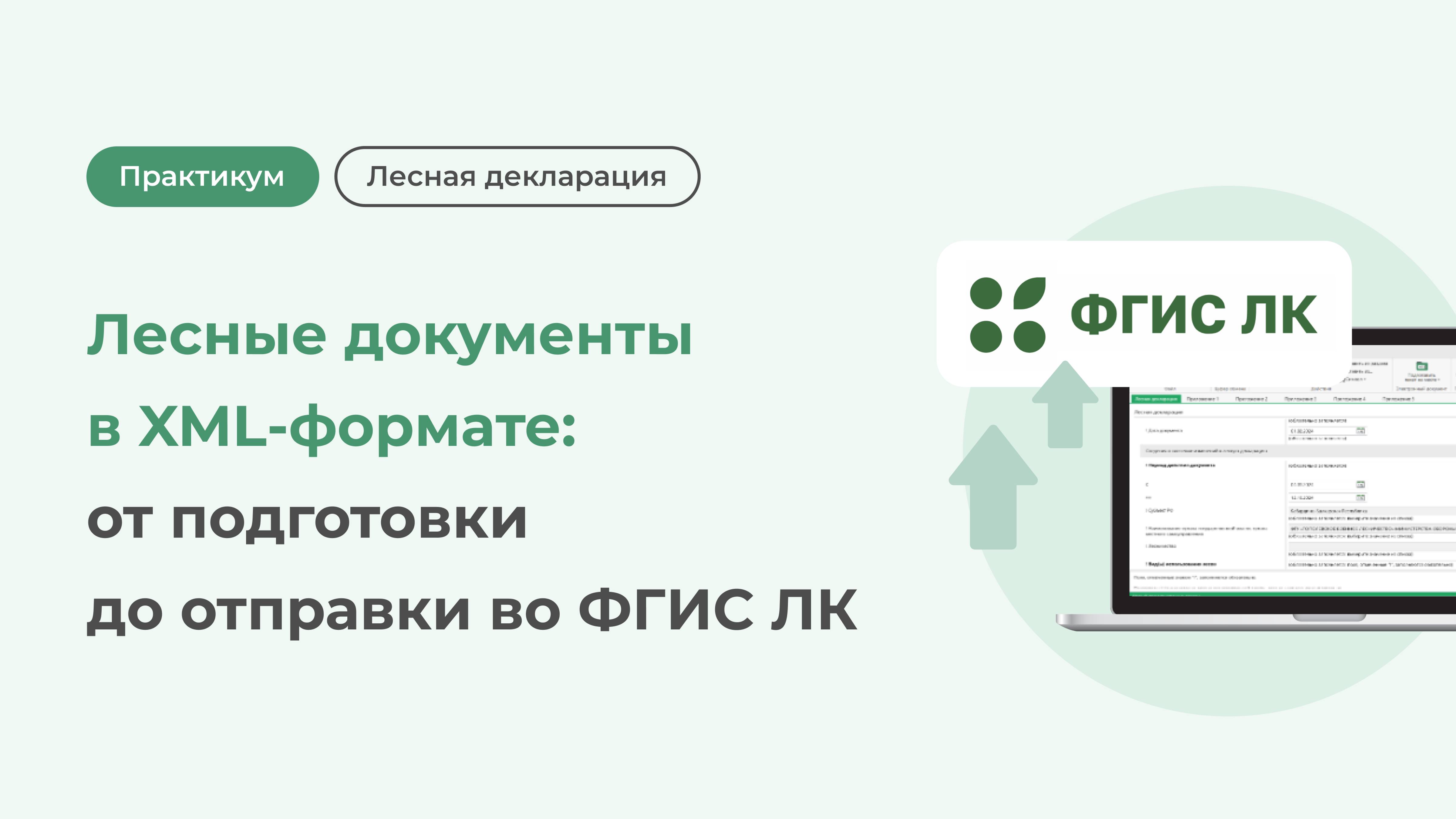 Лесные документы в XML-формате: от подготовки до отправки во ФГИС ЛК