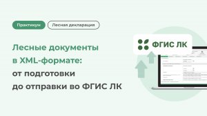 Лесные документы в XML-формате: от подготовки до отправки во ФГИС ЛК