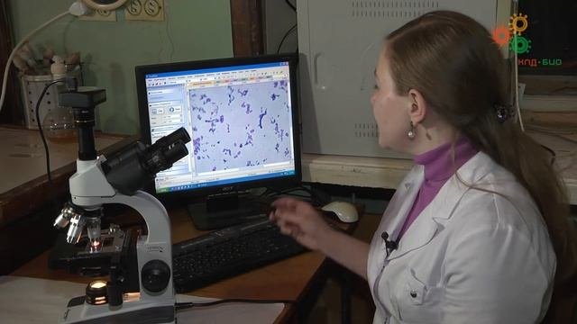Приготовление фиксированных микробиологических препаратов