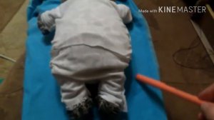 Комбинезон для басика