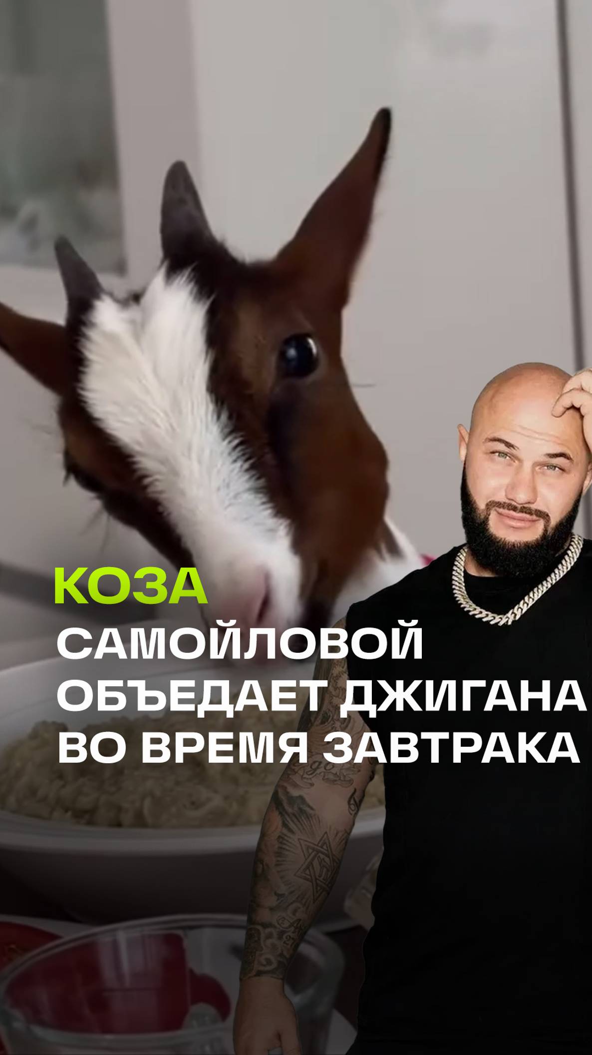 Популярная коза Самойловой голодной точно не останется