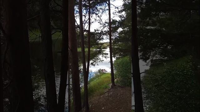 летом здорово!солёные грузди,шашлычок.#shorts смотреть онлайн