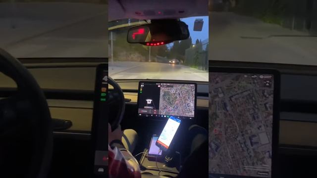 Tesla taxi смотреть онлайн