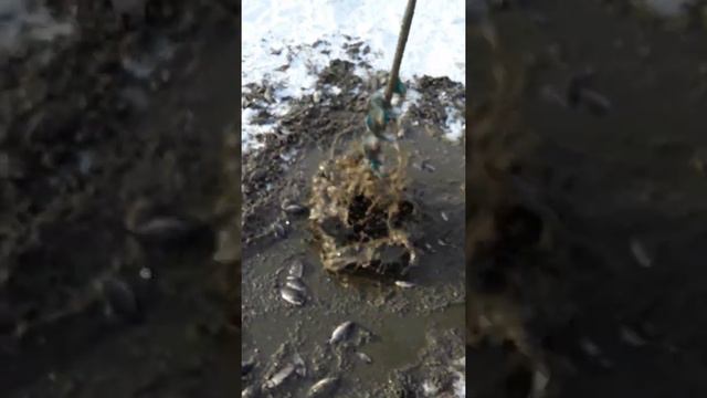 Замор смотреть онлайн