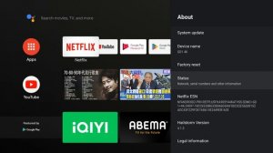 Decolor GD1 4K Android TV Stick