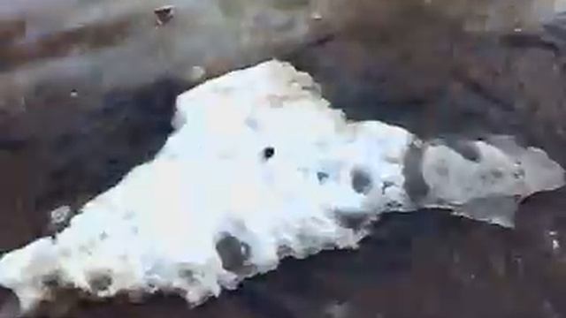 ПРИКОЛЫ. Ловля рыбы. СМОТРЕТЬ ВСЕМ! смотреть онлайн