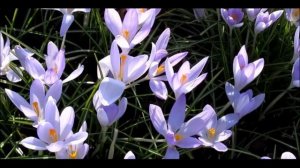 С 1 мая, дорогие друзья!!!