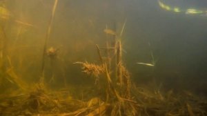 Бердянское водохранилище