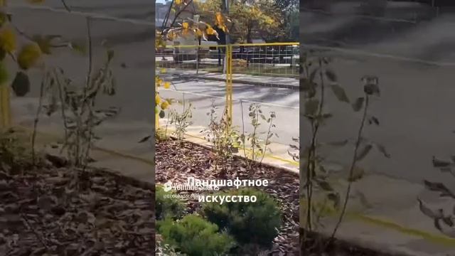 Ландшафтное искусство