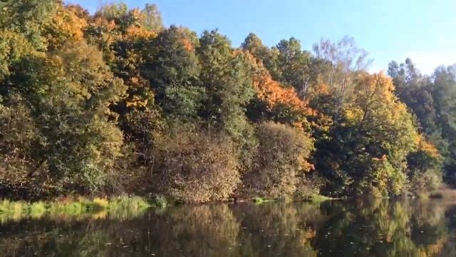 Теза, сентябрь 2014 ч.4 смотреть онлайн