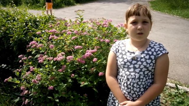 Мой любимый детский врач - Федорова С.Я. смотреть онлайн