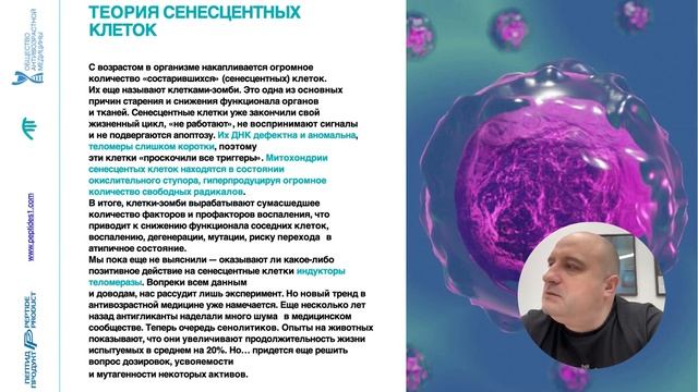Современные представления о механизмах старения. Теория старения. Гликация.