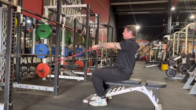 SEATED FACE PULL - BANDS смотреть онлайн