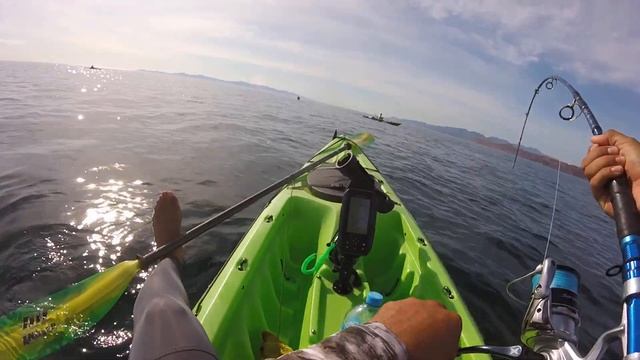 Jurel con diamond jig #jiggingkayak #prowler13 #diamondjig #pescaenkayak смотреть онлайн