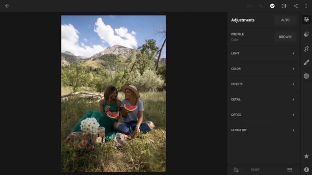 LIGHTROOM TUTORIAL New Tezza Nature Lightroom Mobile Presets Premium
