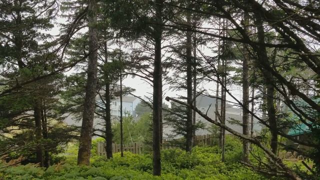 Lot 201 SW 24th Dr. Lincoln City, OR 97367 • #17-3118 смотреть онлайн