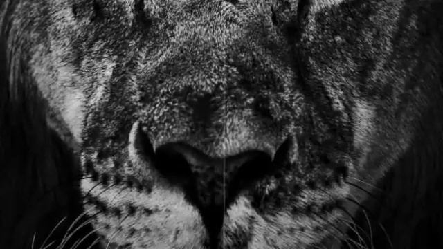 VLOG КЛЁВЫЕ КАРТИНКИ 📒 смотреть онлайн