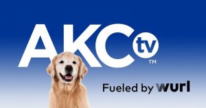 AKC.tv