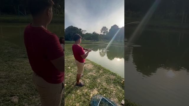 ikan gorgon ni boss.. смотреть онлайн