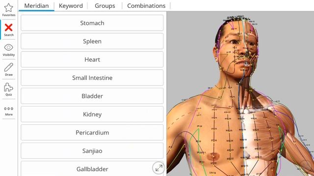 Visual Acupuncture 3D - Acupuncture App