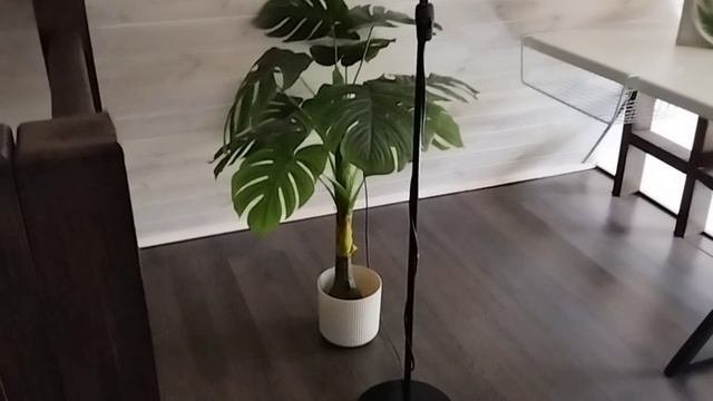 ЗАНИМАЮСЬ БЛАГОТВОРИТЕЛЬНОСТЬЮ/ ЖИЗНЬ В ДЕРЕВНЕ/ ЖИЗНЬ ХОРОША 21.10.24г..