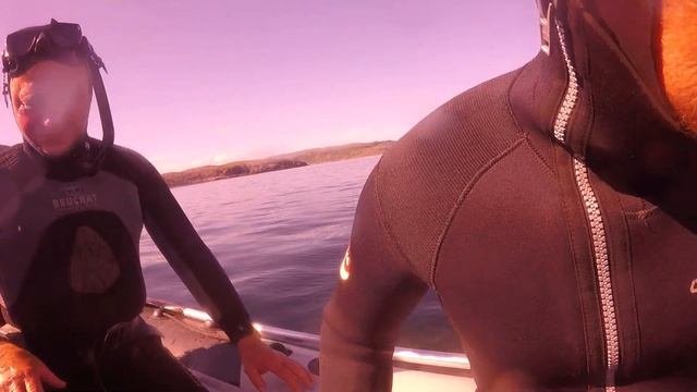 Териберка. Подводная рыбалка #мурманск#short#рыбалка#fishing#россия