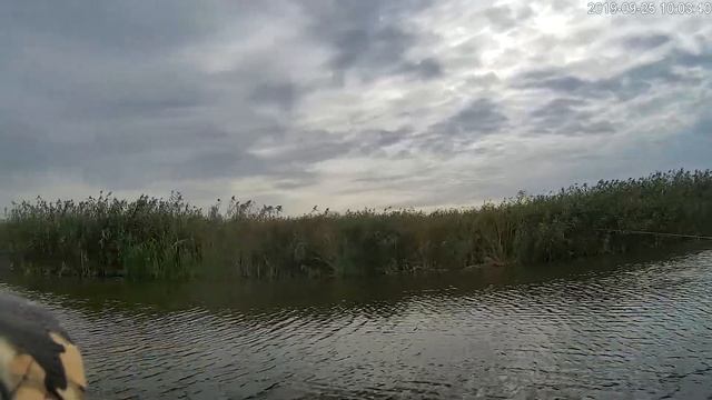 Трудовыебудни на Каневском. смотреть онлайн