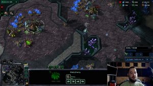 Профессиональный билд старкрафт 2. зерги гайд против террана . Старкрафт 2 TED