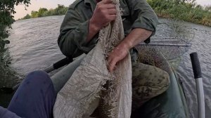 АМУР на АЛЫЧУ. РАК