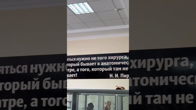 Музей препаратов по топографической анатомии #музей #медицина #студенты #вуз #surge #body #medical
