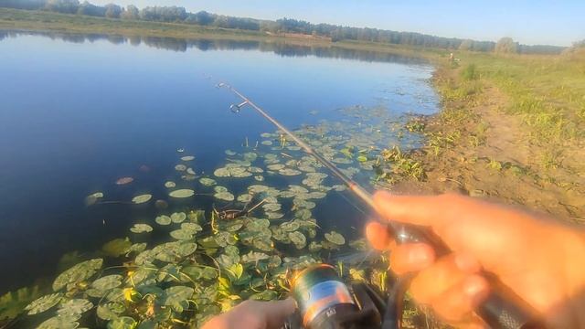 Спіймав Окуня на ультралайт! l Caught Perch on ultralight! смотреть онлайн