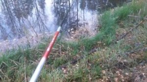 Ловля гальянов на пруду в конце Октября