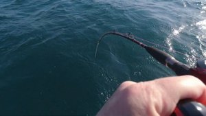 Ловля минтая на пилькеры Metall Fish