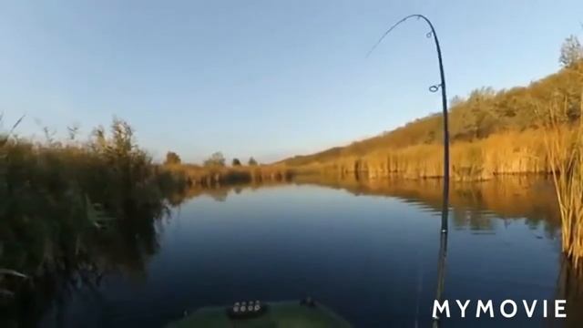 Октябрь.Огромная Щука на спининг.