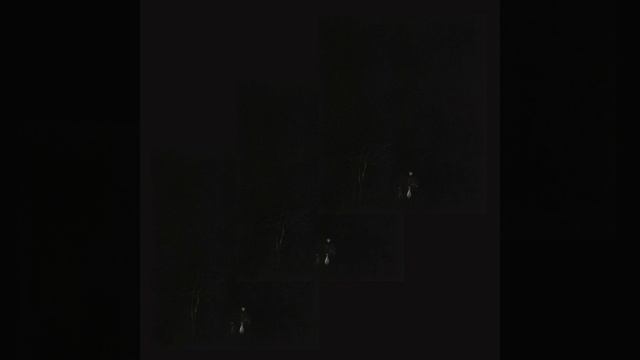 Like Tigers in the Back Seat of My Car смотреть онлайн