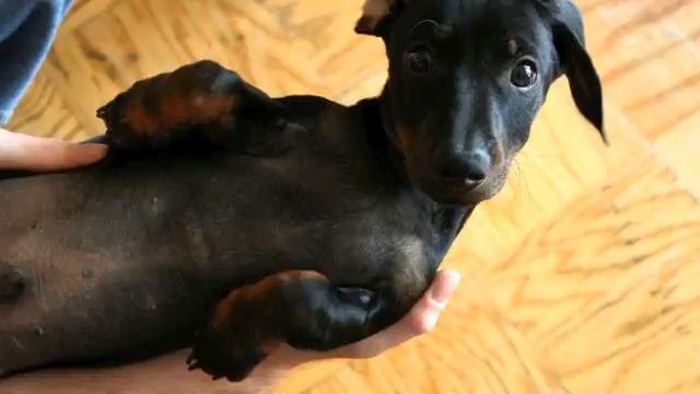 Классный медляк . Настоящий хит! Слушать!