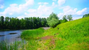 Самаркая область. около п.Поплавский. оз.Черное.