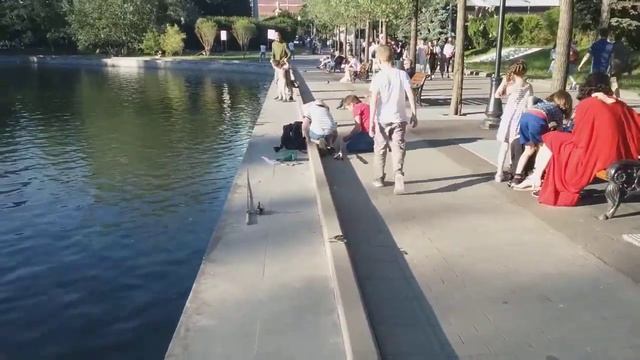 Наловил карася🎣 самый большой весит 203 грамма смотреть онлайн