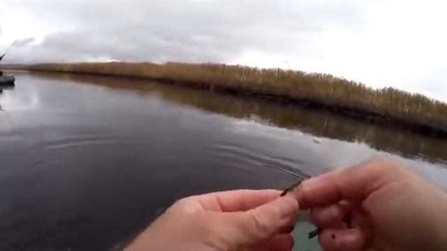 Ловля карася на поплавочную удочку