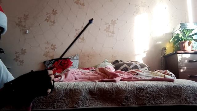 обзор на удочки! смотреть онлайн